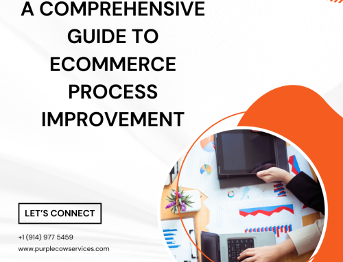 A Comprehensive Guide to eCommerce Process Improvement