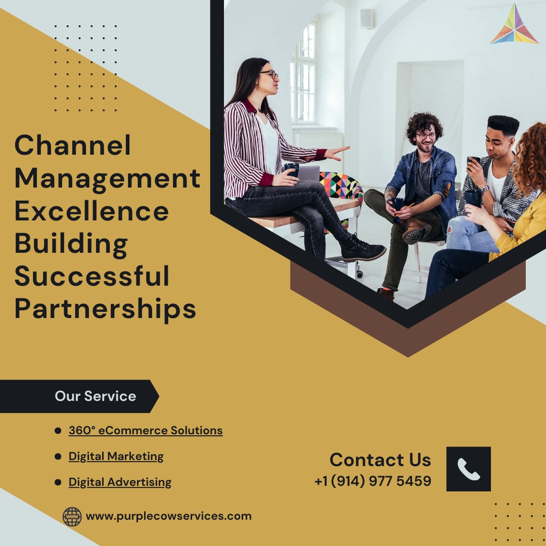 Channel Management Excellence Building Successful Partnerships