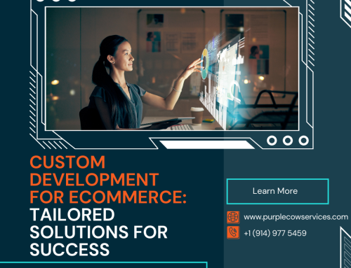 Custom Development for eCommerce: Tailored Solutions for Success