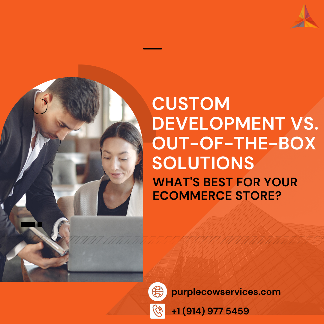 Custom Development vs. Out-of-the-Box Solutions_ What's Best for Your Ecommerce Store