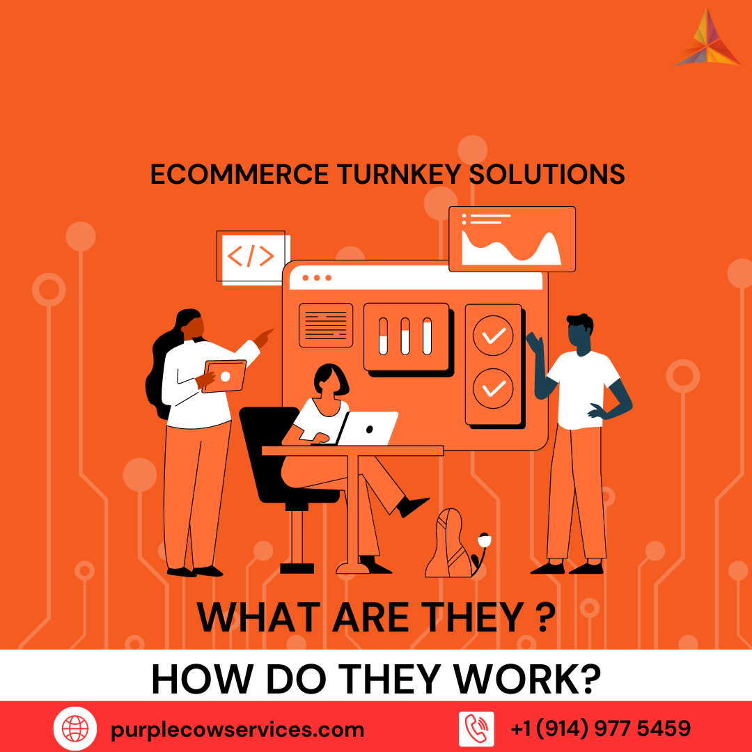 Ecommerce-Turnkey-Solutions_-What-Are-They-and-How-Do-They-Work-1