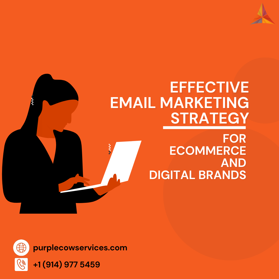 Effective-eMail-Marketing-Strategy-for-ECommerce-and-Digital-Brands-1