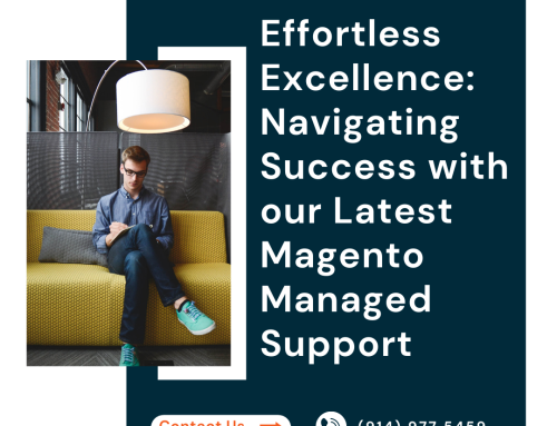 Effortless Excellence: Navigating Success with our Latest Magento Managed Support Services