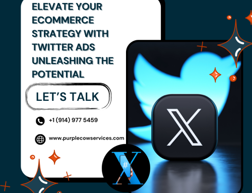 Elevate Your eCommerce Strategy with Twitter Ads: Unleashing the Potential