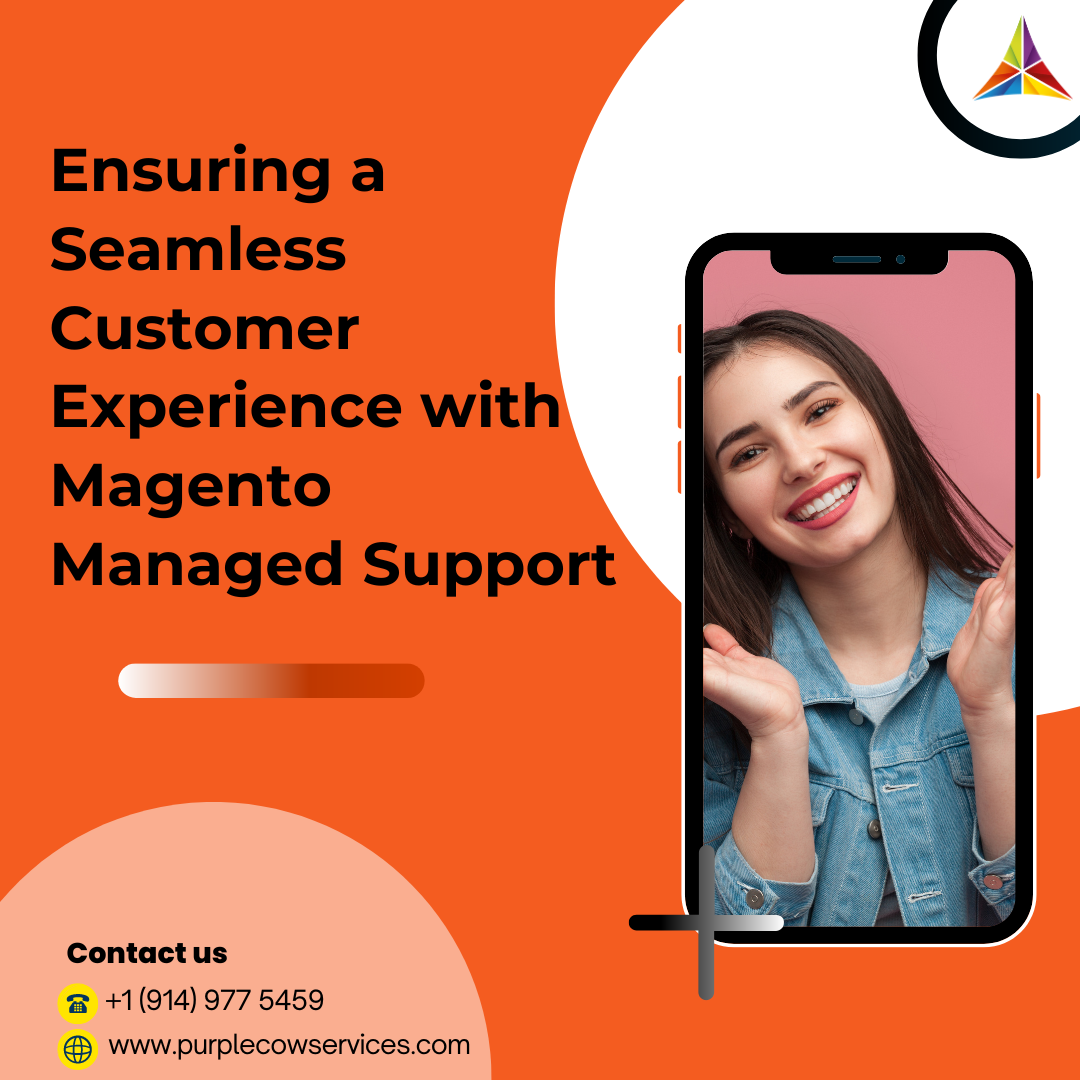 Ensuring-a-Seamless-Customer-Experience-with-Magento-Managed-Support-1-1