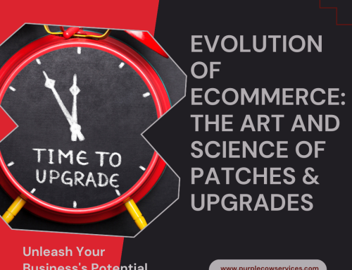 Evolution of eCommerce: The Art and Science of Patches & Upgrades
