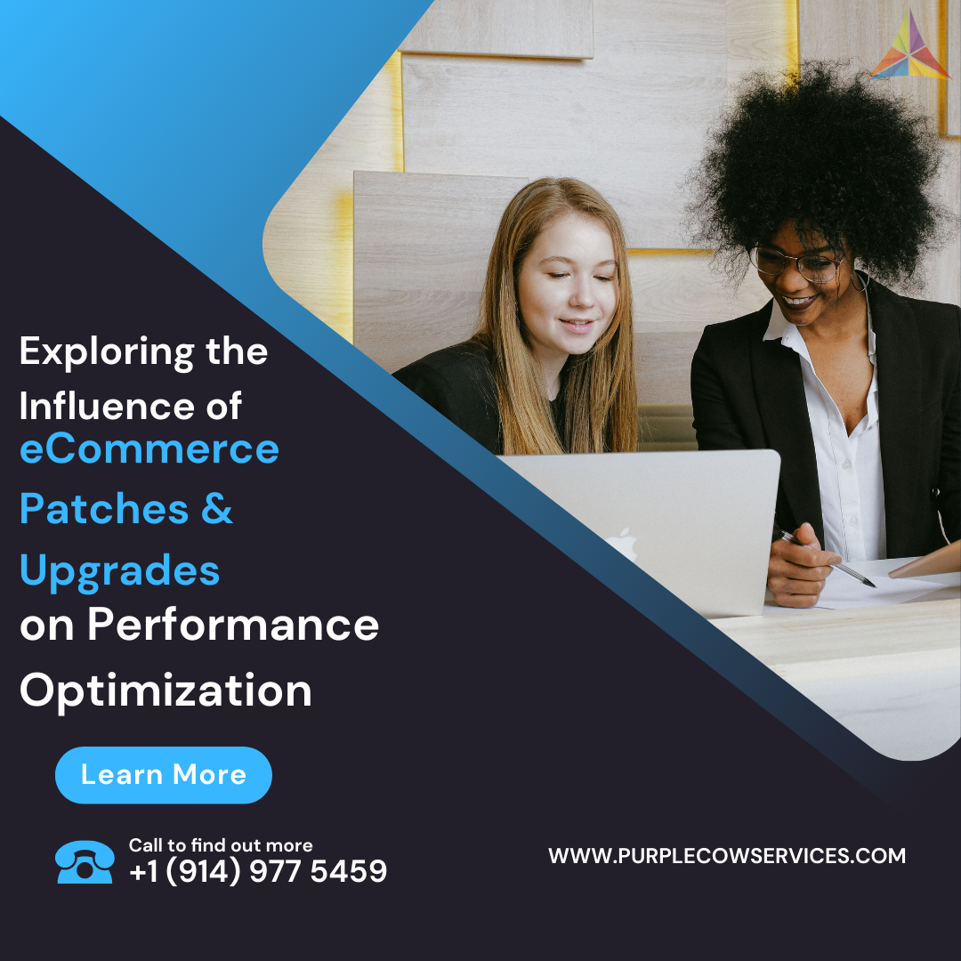 Exploring the Influence of eCommerce Patches & Upgrades on Performance Optimization
