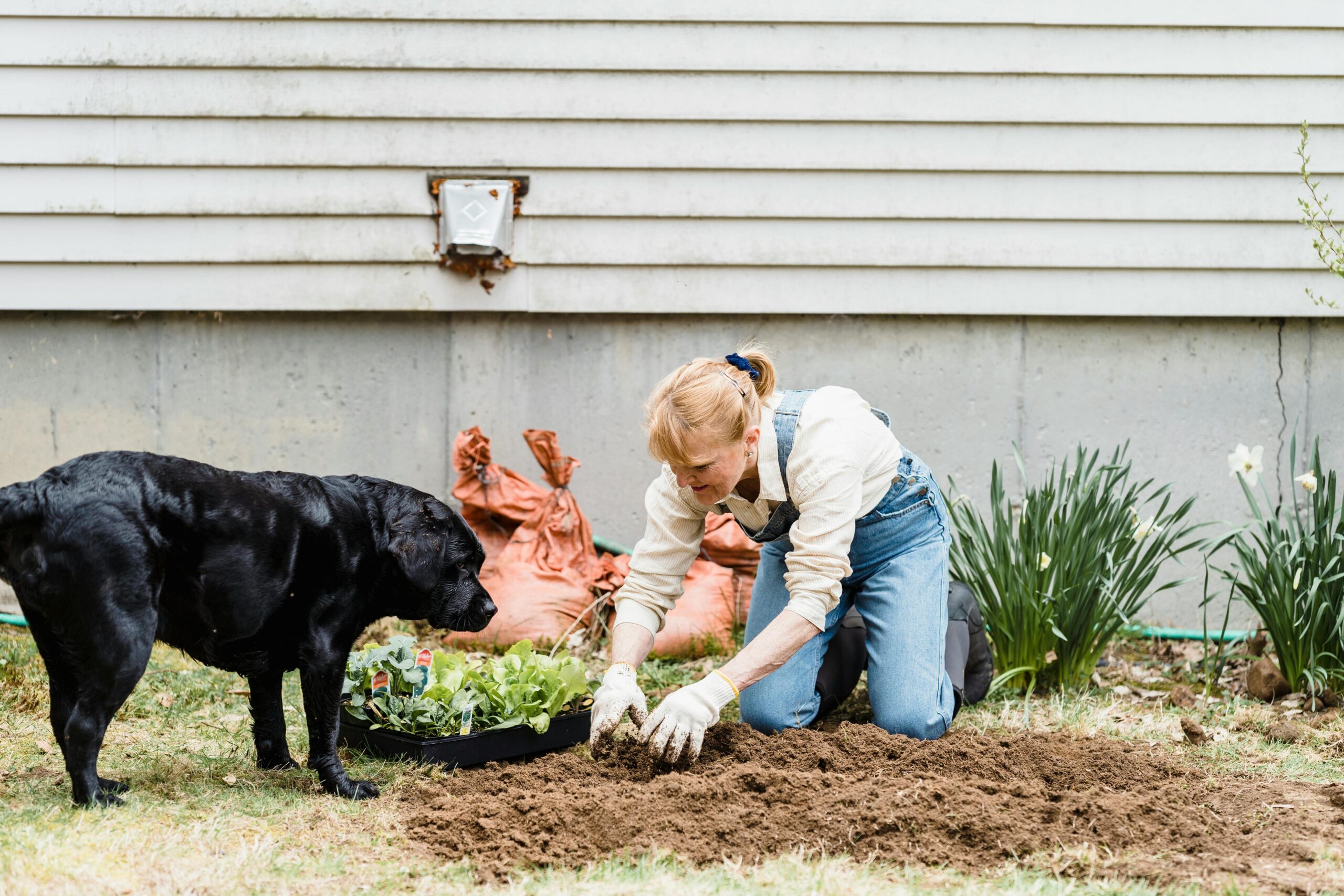 A woman kneels beside a dog as it digs energetically in the dirt, showcasing a moment of playful interaction.