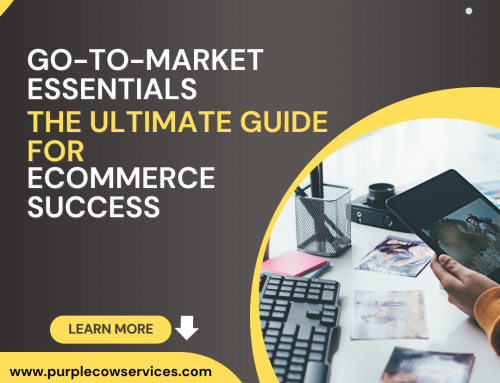 Go-To-Market Essentials: The Ultimate Guide for eCommerce Success