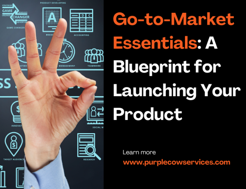 Go-to-Market Essentials: A Blueprint for Launching Your Product