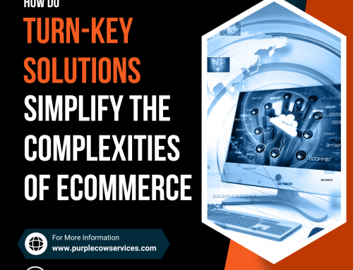 How Do Turn-Key Solutions Simplify the Complexities of eCommerce?