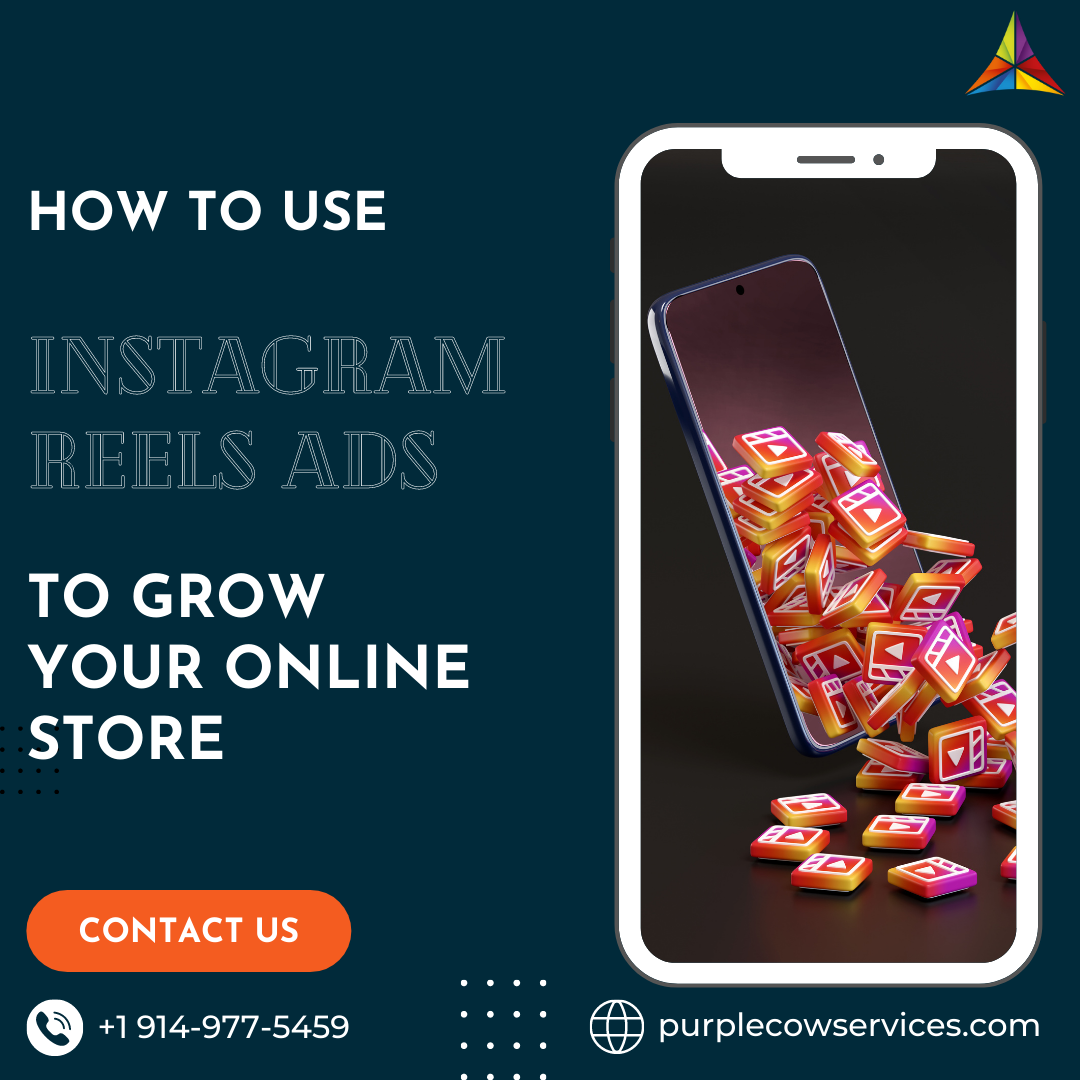 How To Use Instagram Reels Ads To Grow Your Online Store