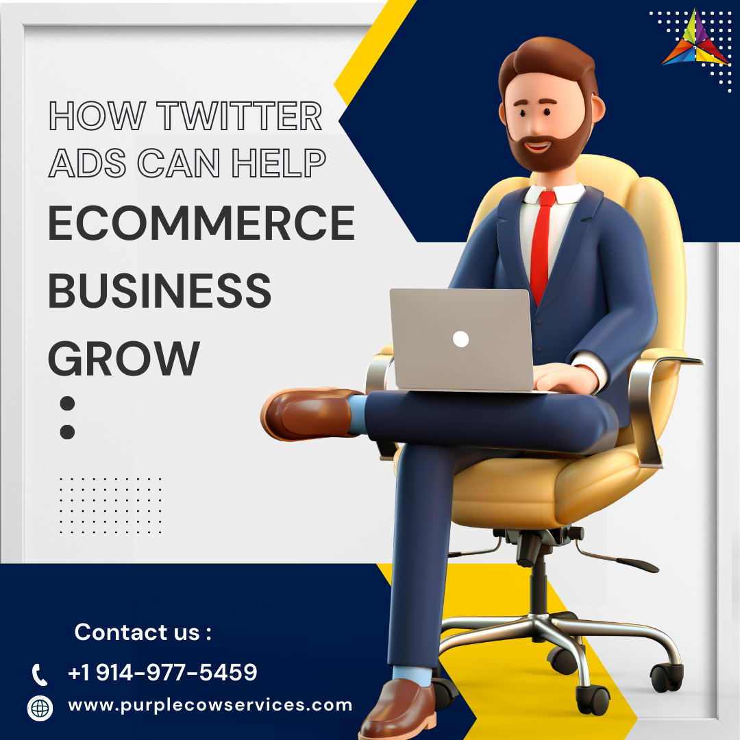 How Twitter Ads Can Help Your Ecommerce Business Grow