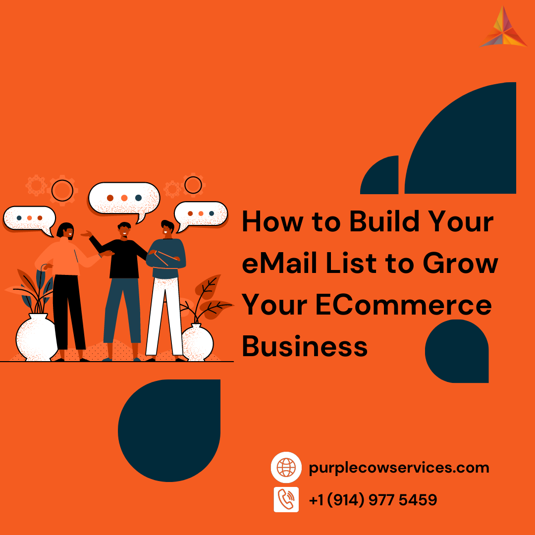 How-to-Build-Your-Email-List-to-Grow-Your-ECommerce-Business-1