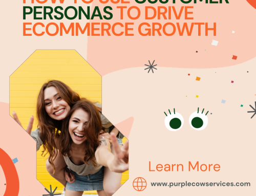 How to Use Customer Personas to Drive eCommerce Growth