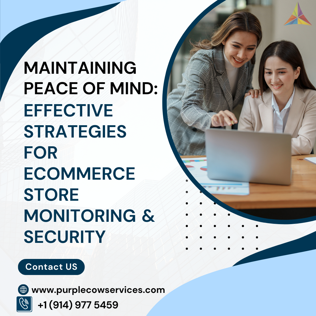 Maintaining Peace of Mind Effective Strategies for eCommerce Store Monitoring & Security