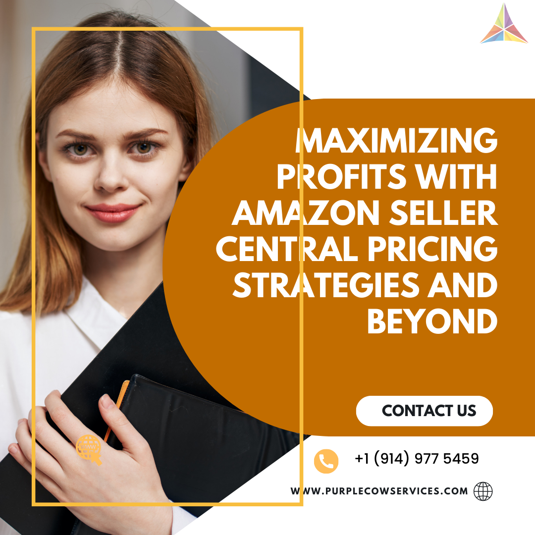 Maximizing Profits with Amazon Seller Central Pricing Strategies and Beyond
