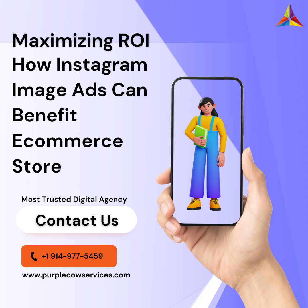 Maximizing ROI How Instagram Image Ads Can Benefit Your Ecommerce Store