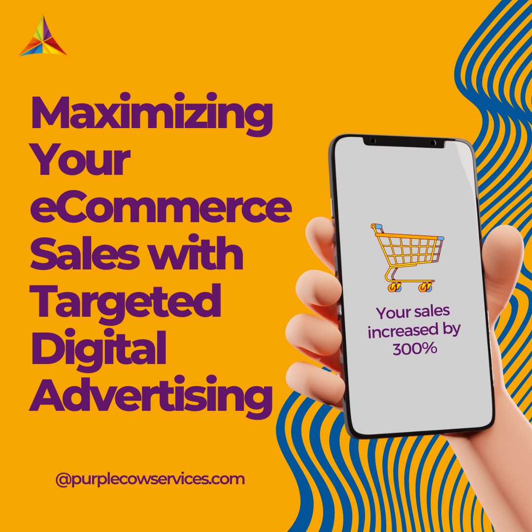 Maximizing-Your-eCommerce-Sales-with-Targeted-Digital-Advertising