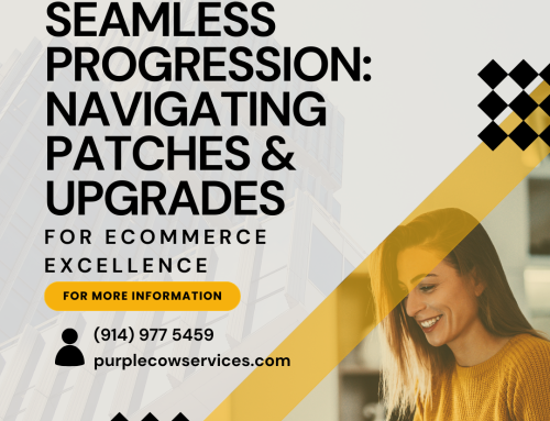 Seamless Progression: Navigating Patches & Upgrades for eCommerce Excellence