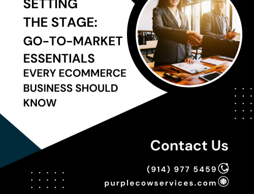 Setting the Stage: Go-To-Market Essentials Every eCommerce Business Should Know