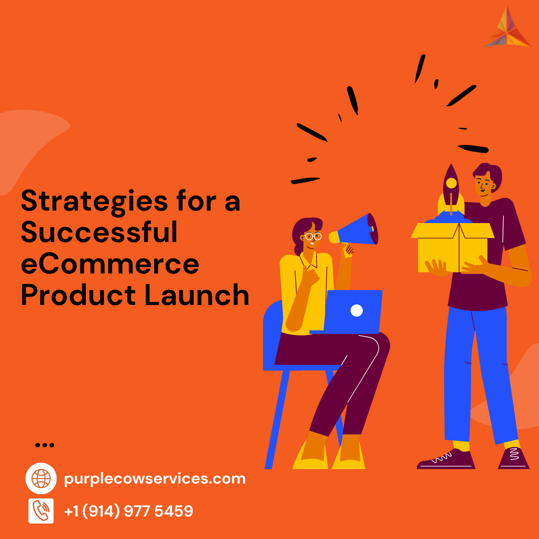 Strategies for a Successful eCommerce Product Launch
