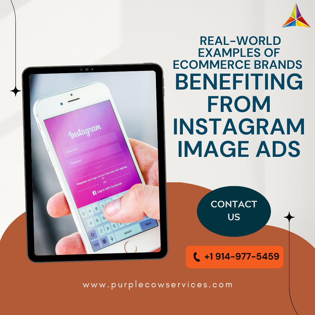 Success-Stories-Real-World-Examples-of-Ecommerce-Brands-Benefiting-from-Instagram-Image-Ads