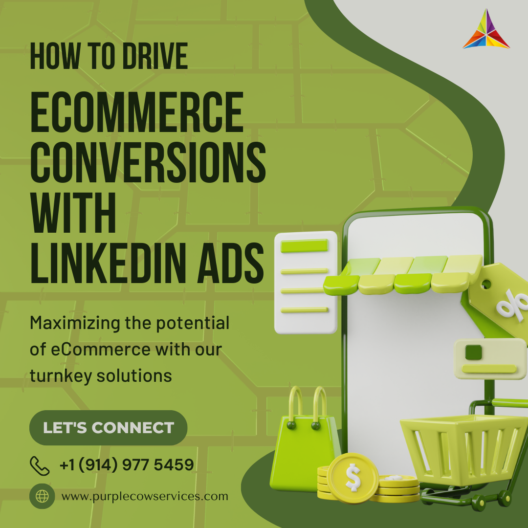 Targeting B2B Excellence How to Drive E-Commerce Conversions with LinkedIn Ads