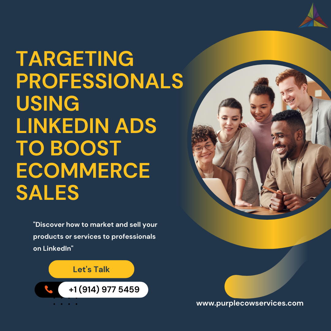 Targeting Professionals Using LinkedIn Ads to Boost eCommerce Sales