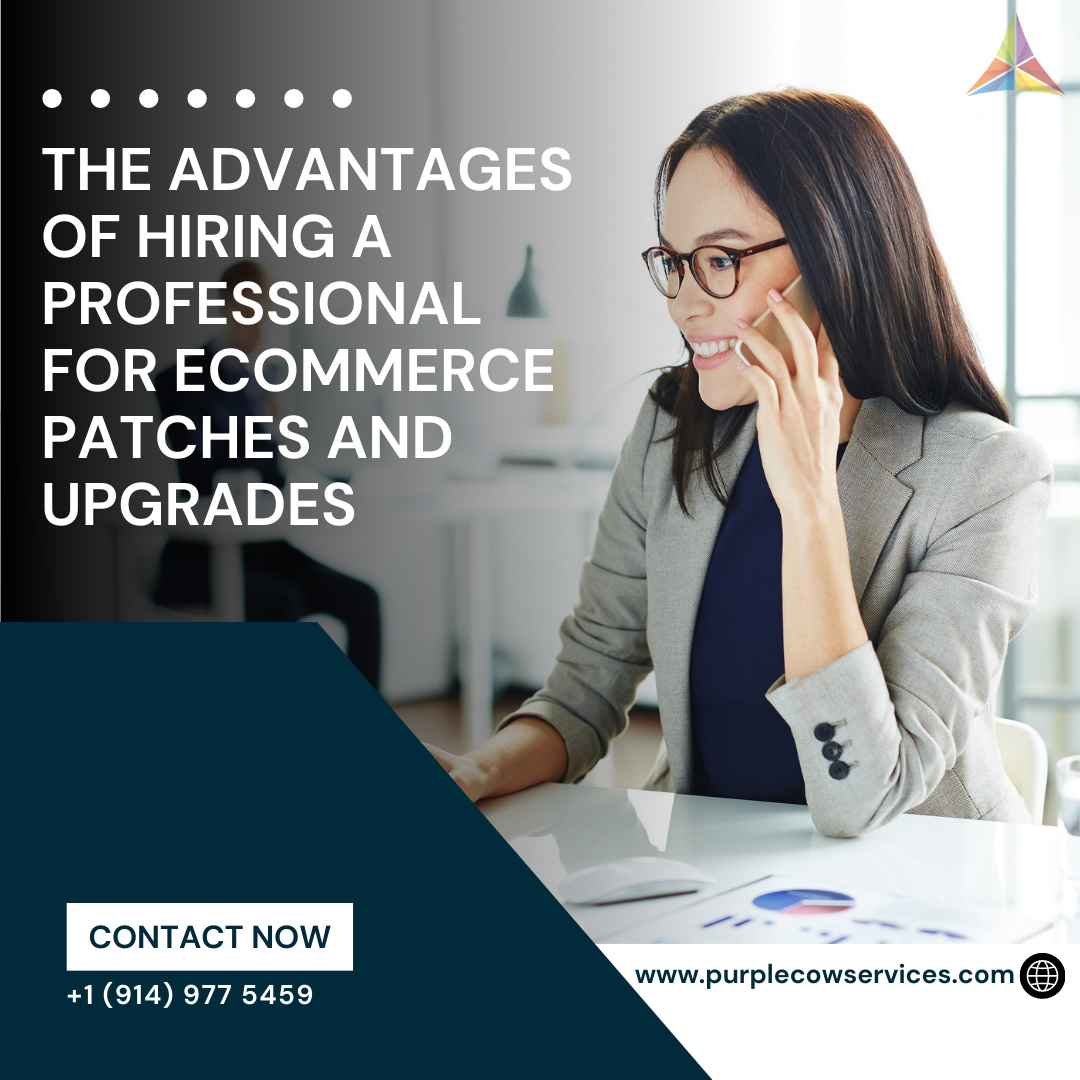 The-Advantages-of-Hiring-a-Professional-for-eCommerce-Patches-and-Upgrades