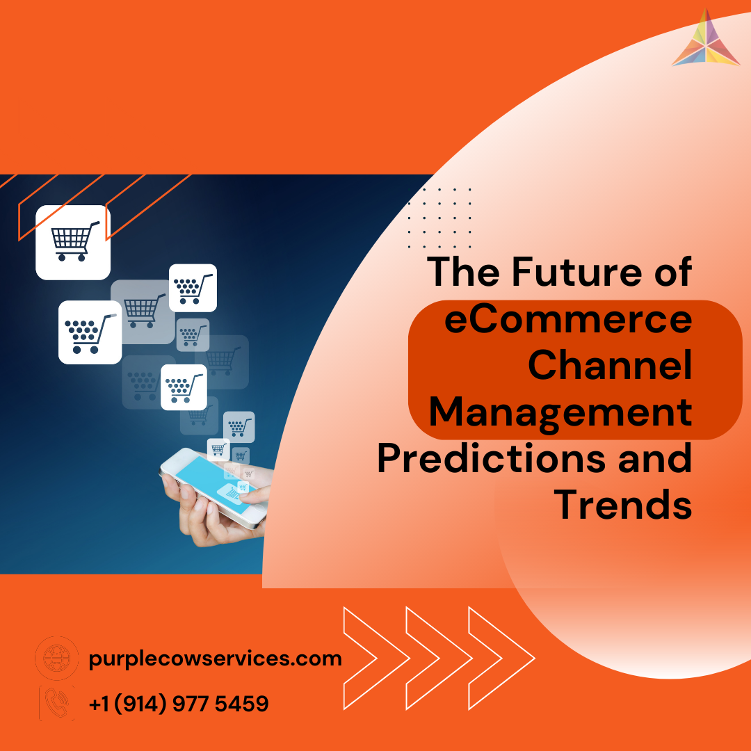The Future of eCommerce Channel Management Predictions and Trends