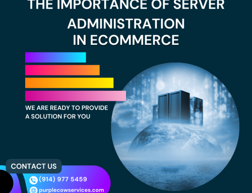 The Importance of Server Administration in eCommerce