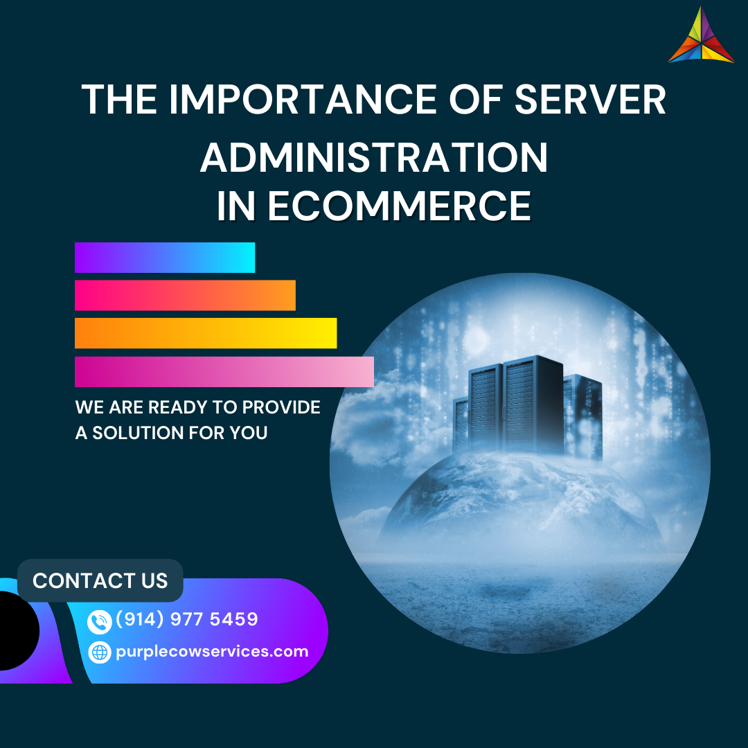 The Importance of Server Administration in eCommerce