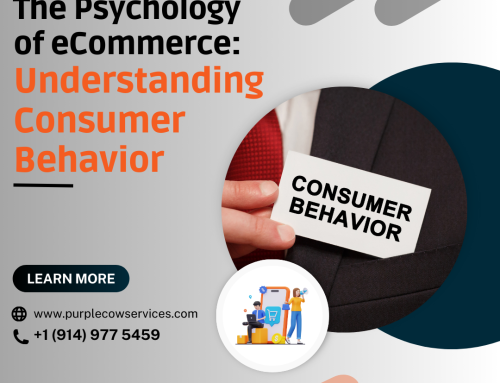 The Psychology of eCommerce: Understanding Consumer Behavior