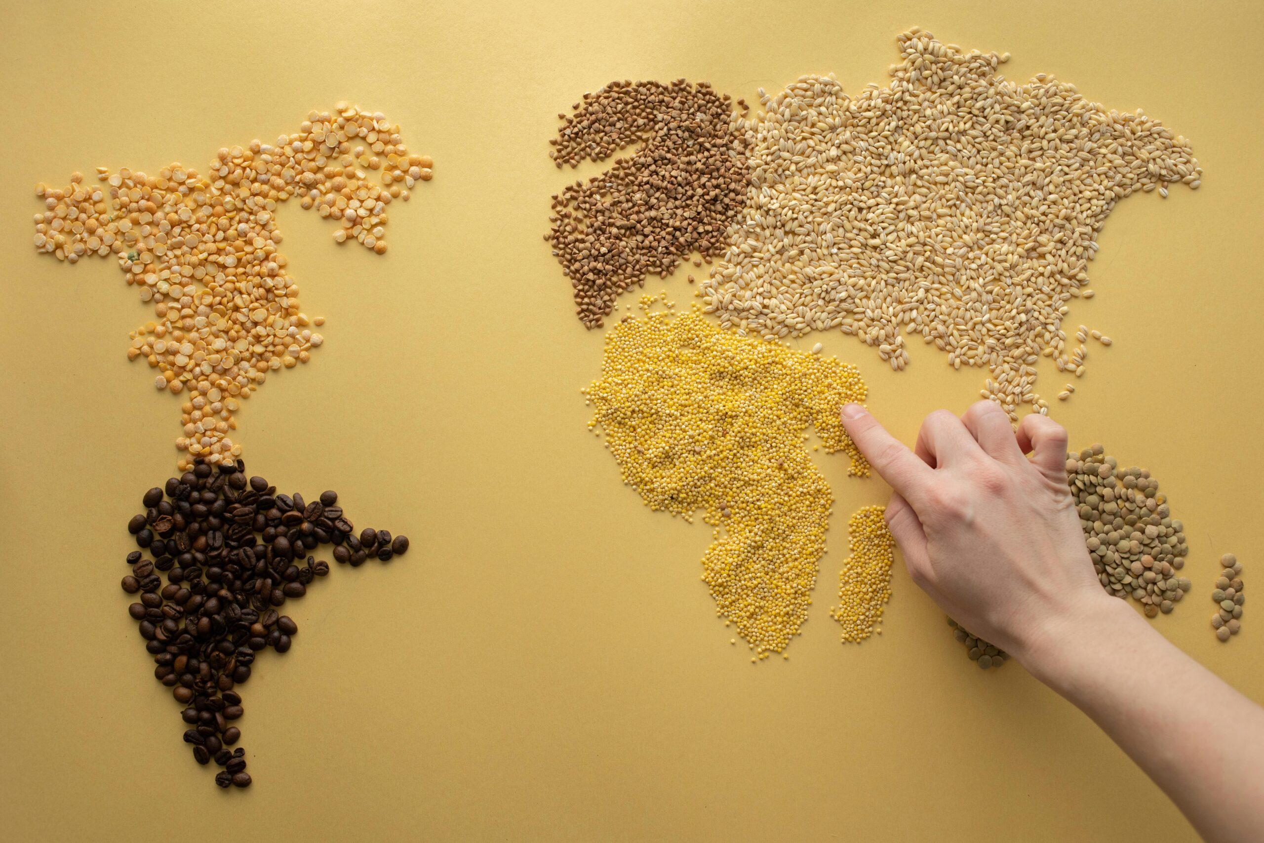World map showcasing various heirloom seeds and beans against a vibrant yellow background.