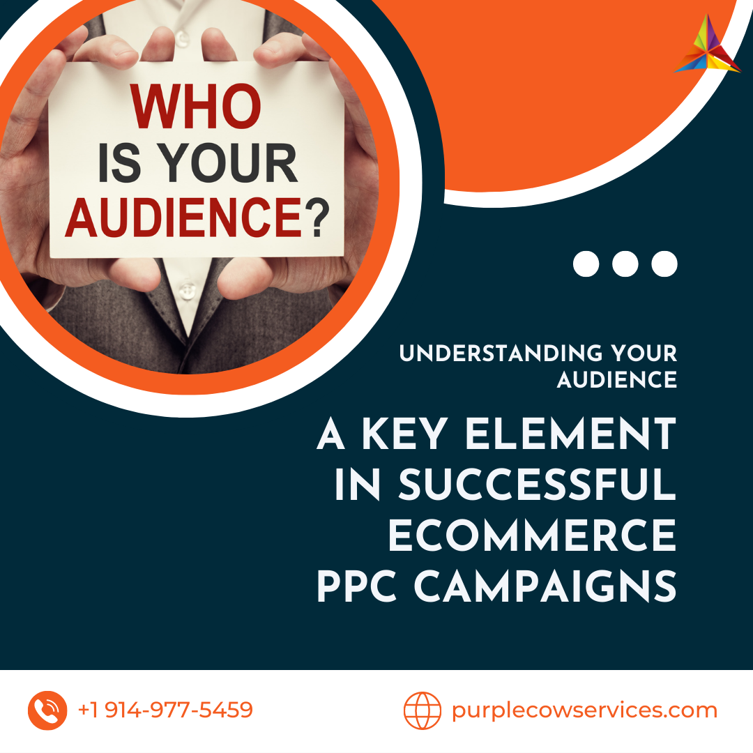 Understanding-Your-Audience_-A-Key-Element-in-Successful-eCommerce-PPC-Campaigns
