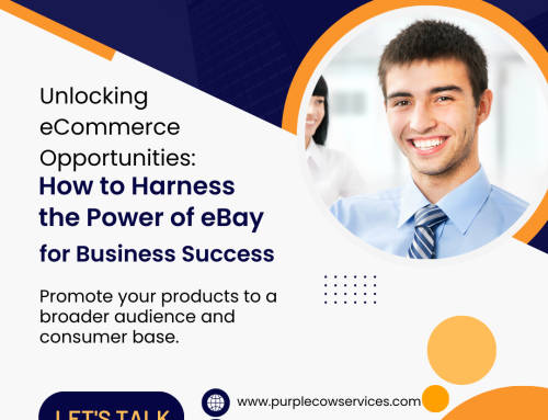 Unlocking eCommerce Opportunities: How to Harness the Power of eBay for Business Success