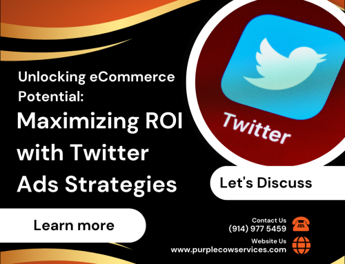 Unlocking eCommerce Potential: Maximizing ROI with Twitter Ads Strategies
