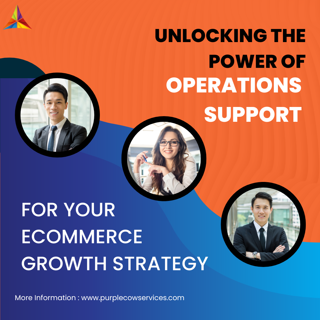 Unlocking-the-Power-of-Operations-Support-for-Your-eCommerce-Growth-Strategy-2-2