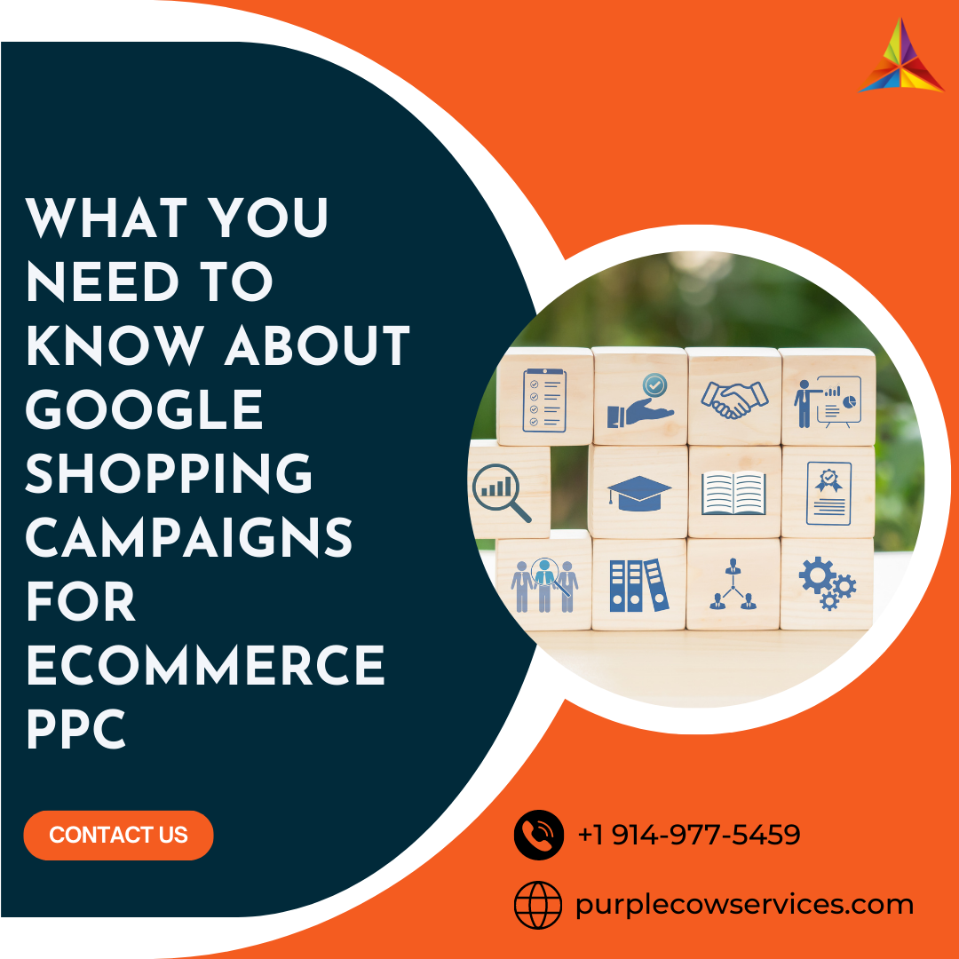 What-You-Need-to-Know-About-Google-Shopping-Campaigns-For-Ecommerce-PPC-1