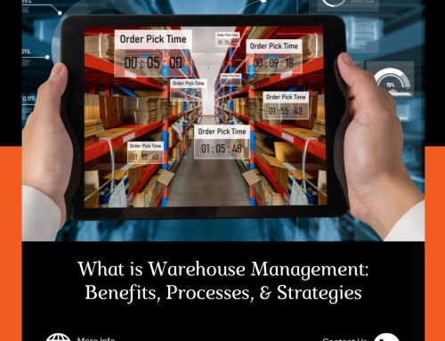 What is Warehouse Management: Benefits, Processes, & Strategies