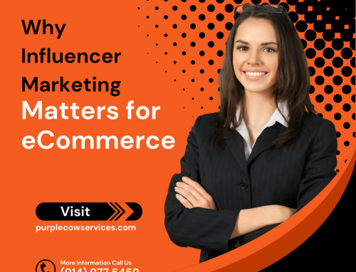 Why Influencer Marketing Matters for eCommerce