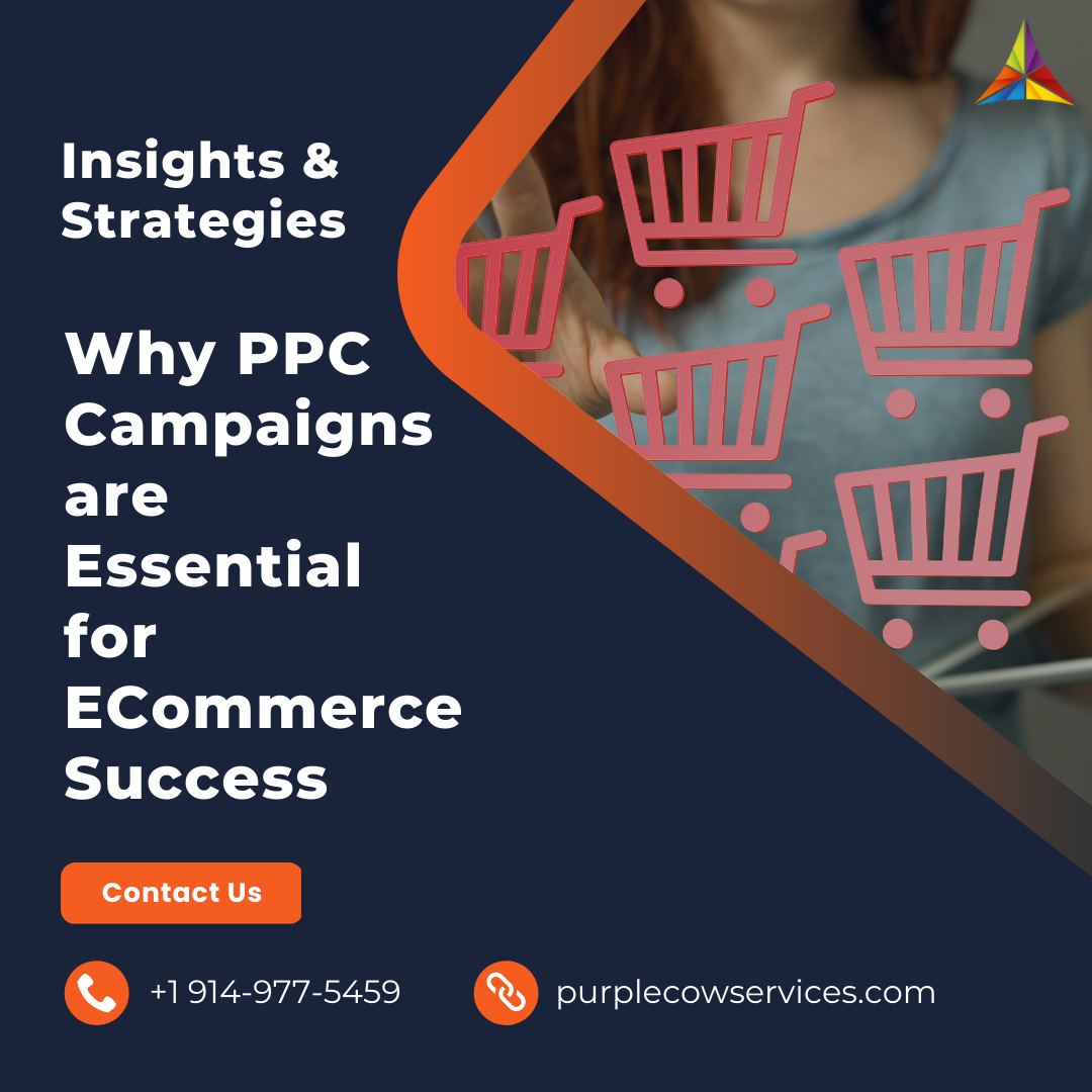 Why-PPC-Campaigns-are-Essential-for-ECommerce-Success_-Insights-and-Strategies-2