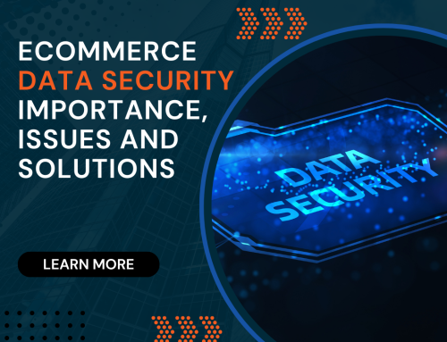eCommerce Data Security: Importance, Issues and Solutions
