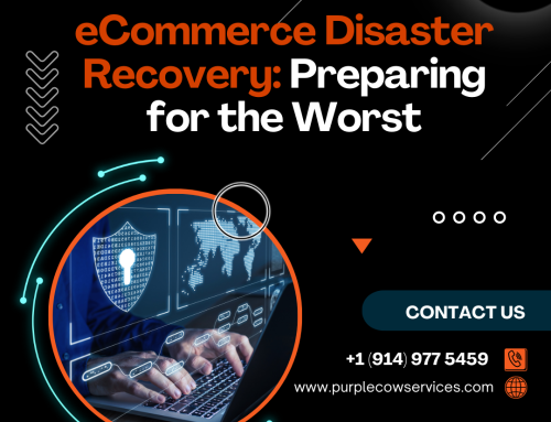 eCommerce Disaster Recovery: Preparing for the Worst