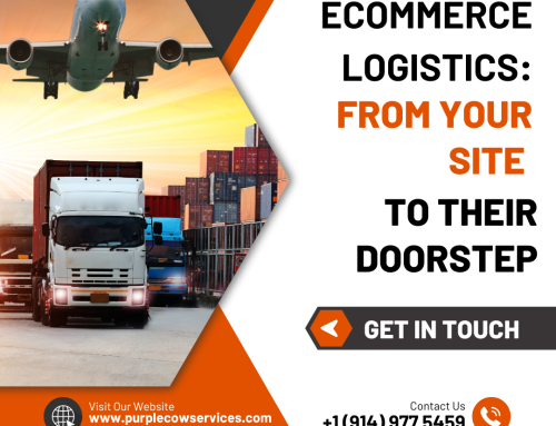 eCommerce Logistics: From Your Site to Their Doorstep