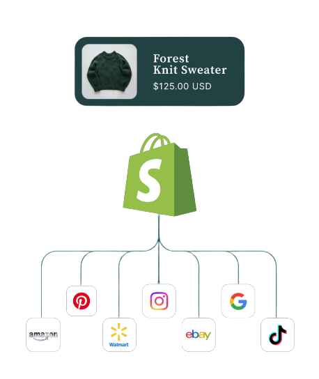 Full-Service Shopify Agency for Direct Marketplace Integration